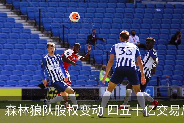 森林狼队股权变动 四五十亿交易后球队规划不变