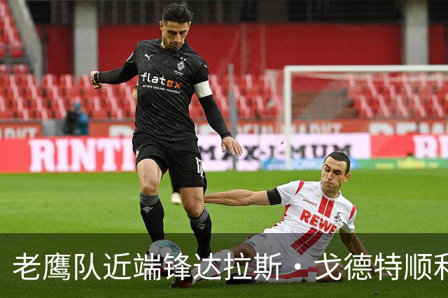 老鹰队近端锋达拉斯·戈德特顺利回归训练